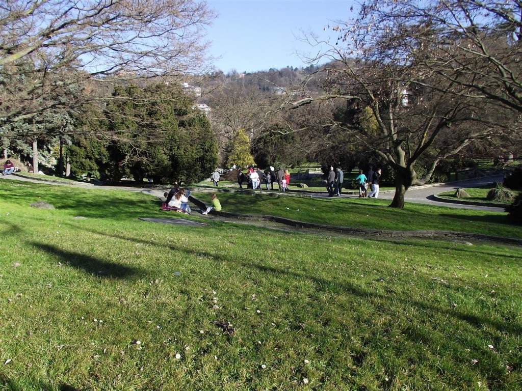 dscf1412