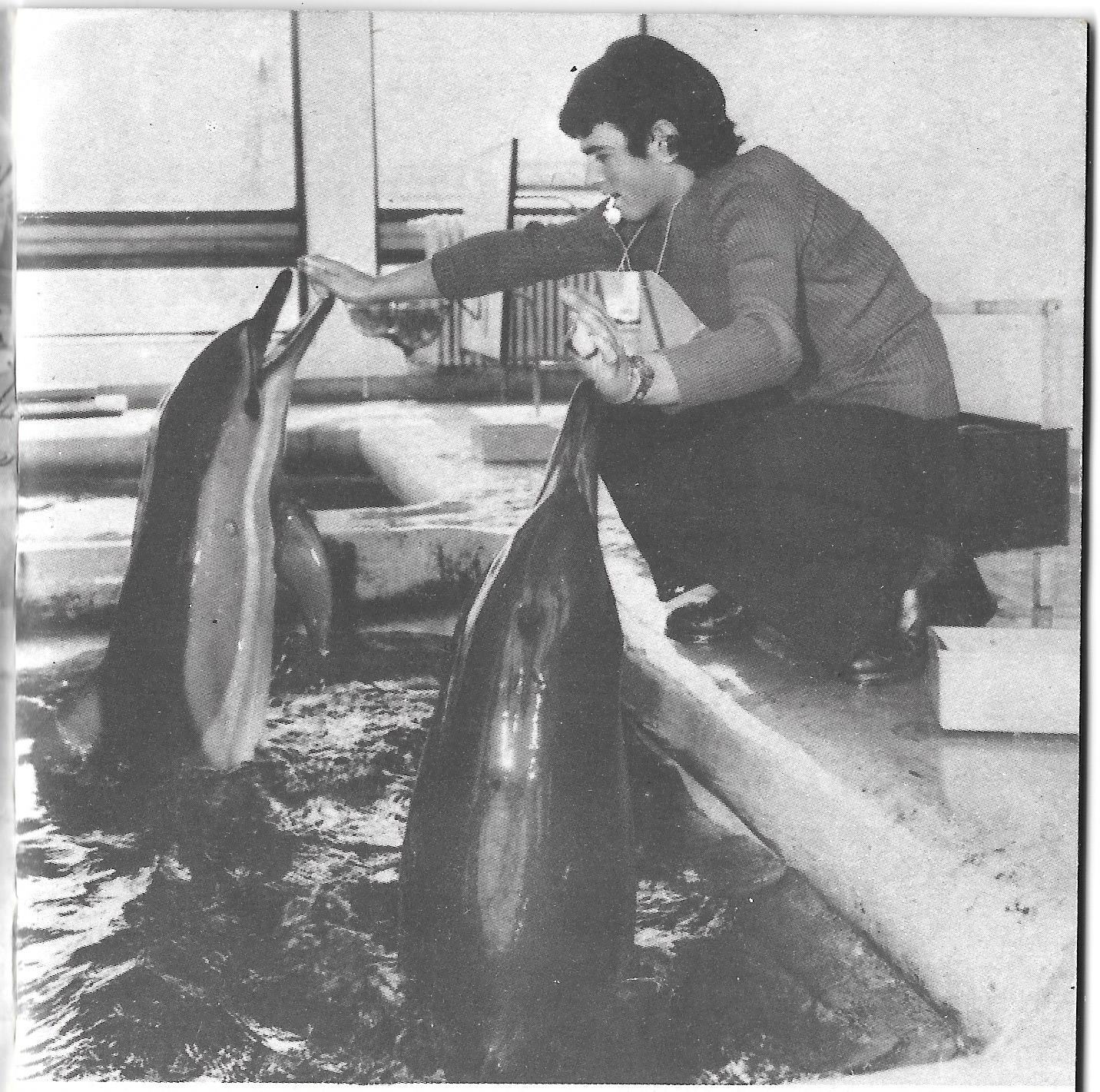 Delfinariu 06