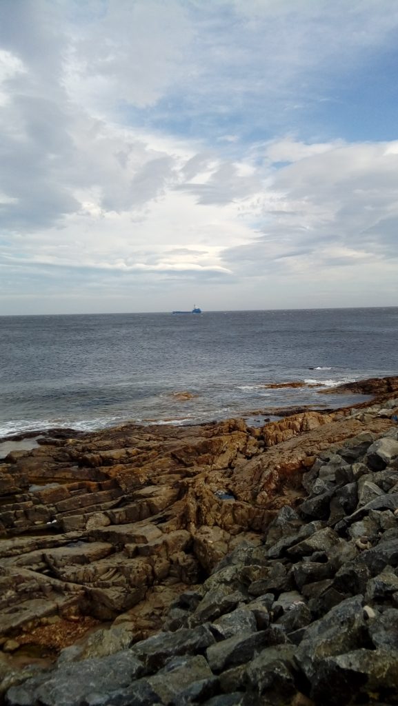 eterna-si-fascinanta-scotie-4